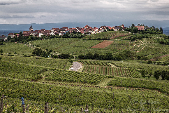 181 Alsace - France