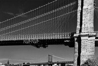 2013 NYC