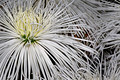 080 Longwood Gardens - PA