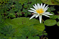 086 Longwood Gardens - PA