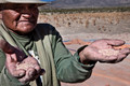 049 - Quinoa farmer - Chile