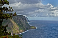 2011 Hawaii