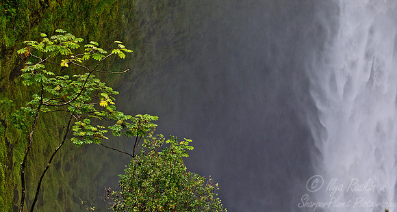 011 Big Island - HI