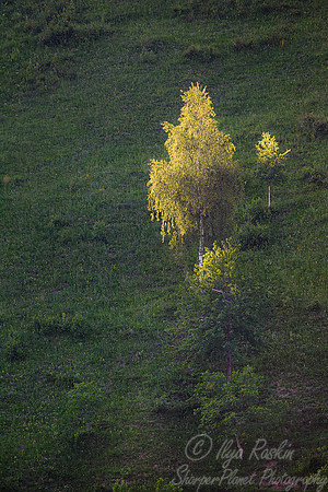 023 Transylvania - Romania