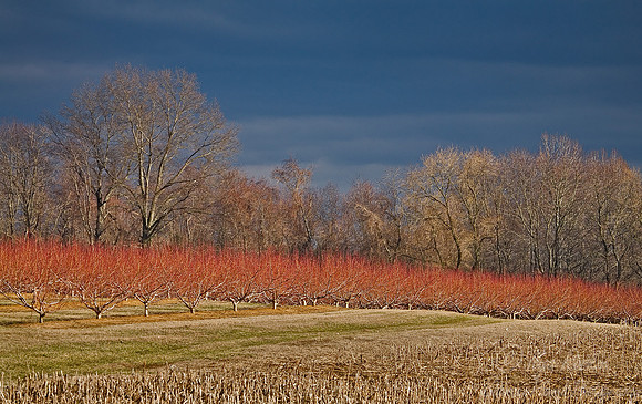 002_New Jersey