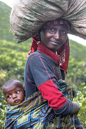 086 Bwindi Impenetrable Forest - Uganda