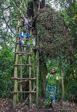 091 The Bushmen - Bwindi Impenetrable Forest - Uganda