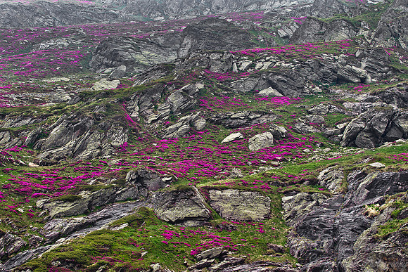 028 Transfăgărășan Road - Romania