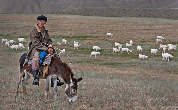 042_Shepard_Northern _Tien-Shan_Kazakhstan