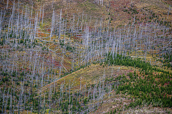 180 Glacier NP - Montana