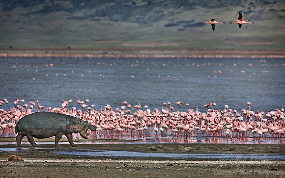 078_Tanzania