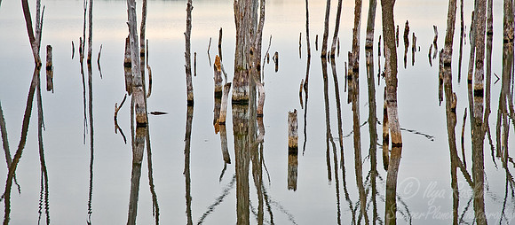 006_New Jersey