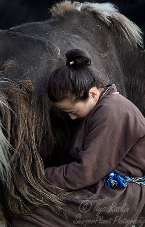 119 Lake Khuvsgul - Mongolia