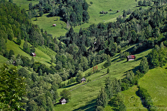 015 Transylvania - Romania