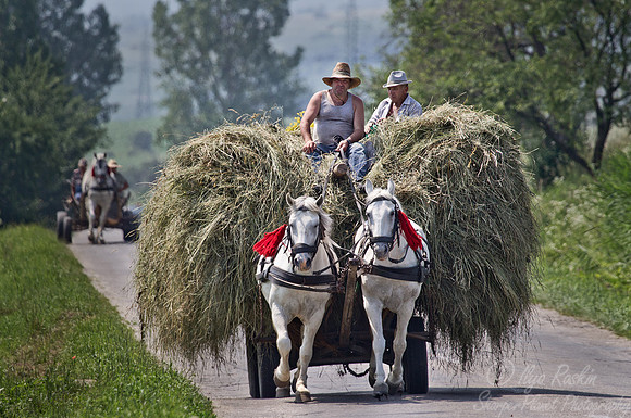 022_1 Transylvania - Romania