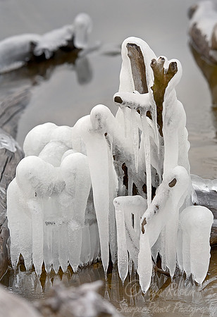 008_Icescape_NJ