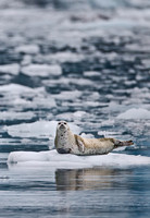 2013 Alaska