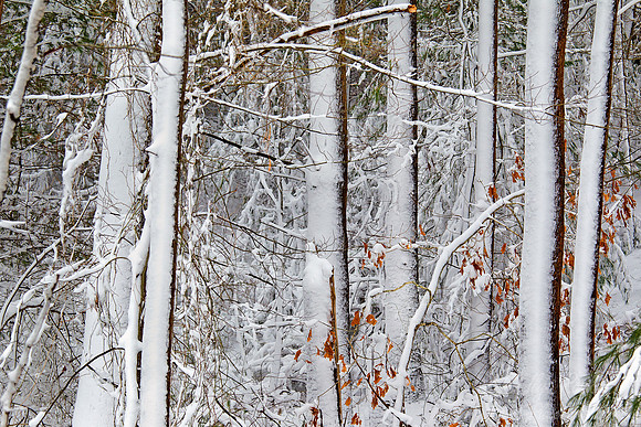 086 Massachusetts