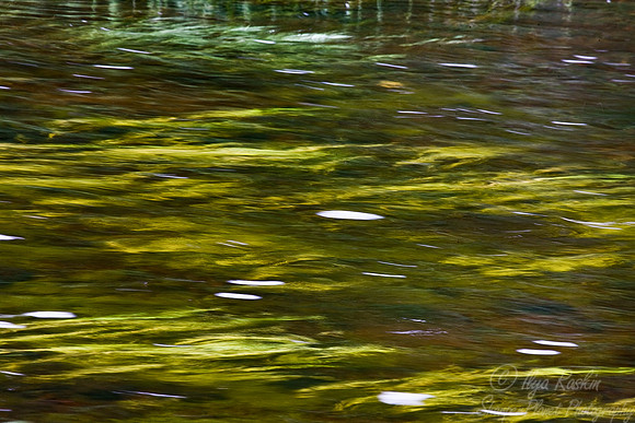 060_Water_New York
