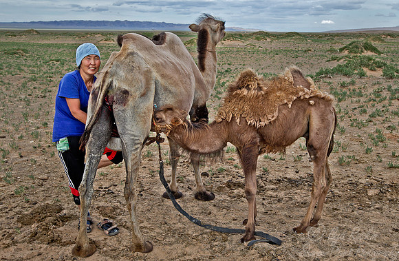 067 Gobi Desert - Mongolia