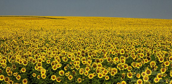 030 Rousse - Bulgaria