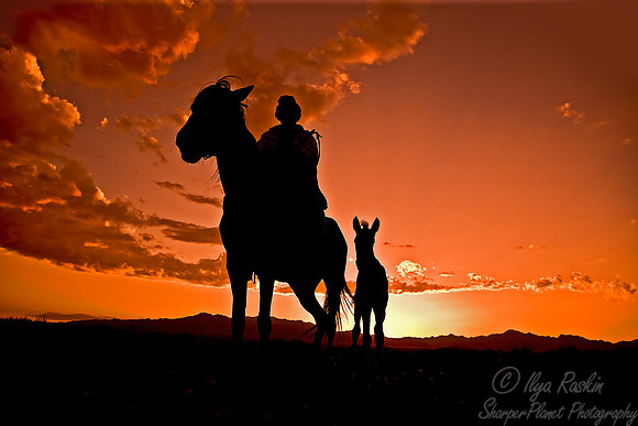 039_Altyn-Emel Region_Kazakhstan