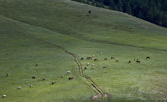 018 Central Mongolia