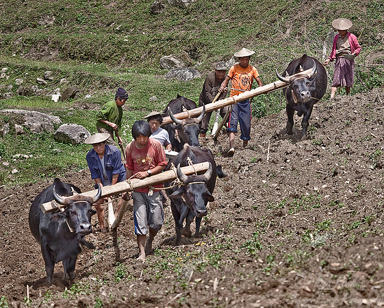 113_Trashigang Region_Eastern Bhutan