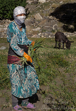 083 Pamir - Tajikistan