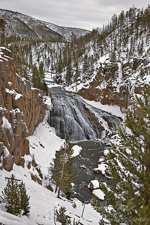 046_Yellowstone in winter