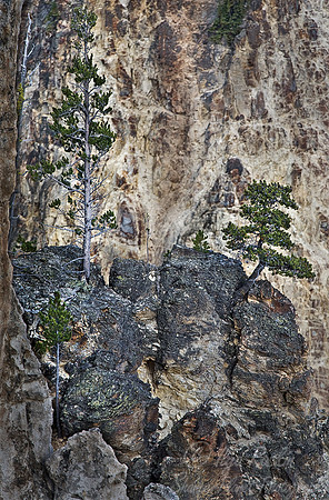 029_Yellowstone National Park