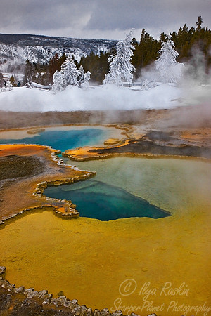 047_Yellowstone in winter