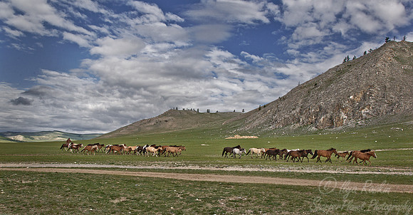 106 Lake Khuvsgul - Mongolia