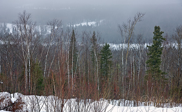 075_Northern Minnesota