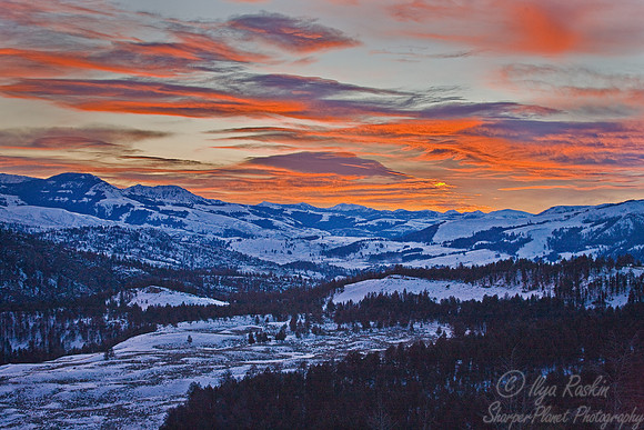 059_Yellowstone in winter