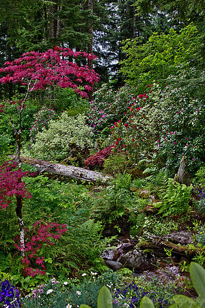 119 Juneau - AK