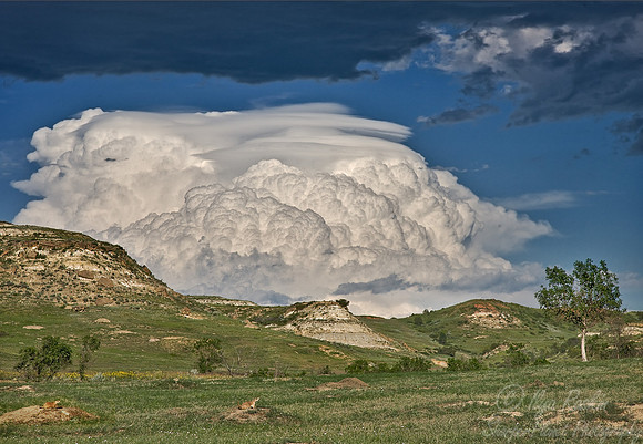 072_T Roosevelt NP_ND