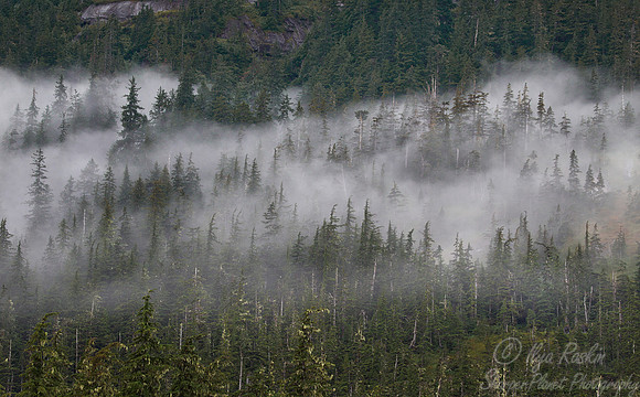 111 Prince William Sound - AK