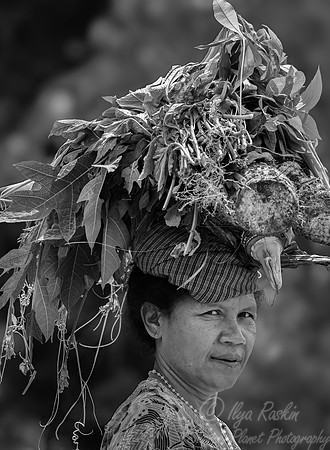 200 Flores Indonesia
