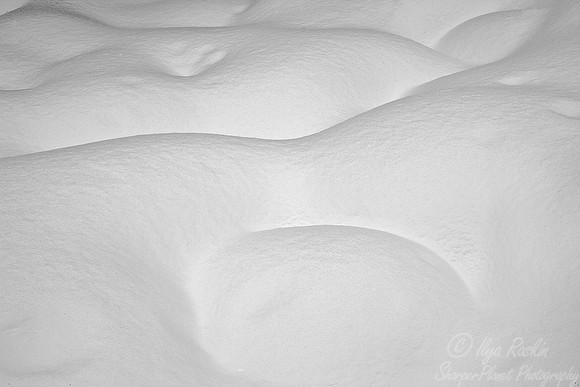 042_Yellowstone in winter