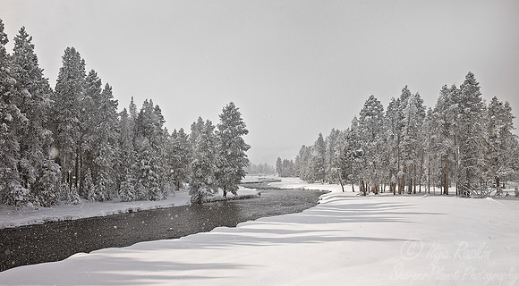 051_Yellowstone in winter