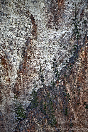 031_Yellowstone National Park