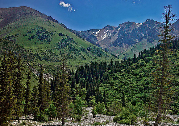 098 Kyrgyzstan