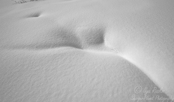 039_Yellowstone in winter