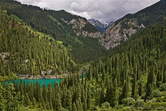 073 Kaindy Lake Cenetral Tien-Shan - Kazakhstan