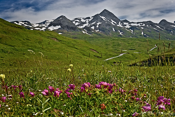 022_Unalaska Island_AK
