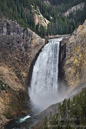 027_Yellowstone National Park