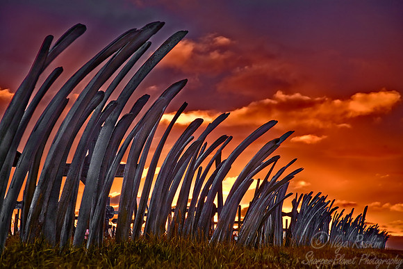 021_Whale-bone Cemetary_Point Hope_AK