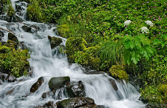 063_Oregon