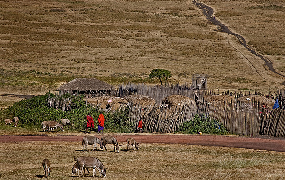 039_Tanzania